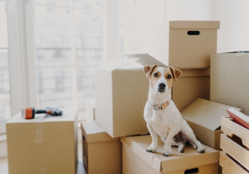 Minimizing Noise and Commotion During the Move: Tips and Checklist for a Stress-Free Experience
